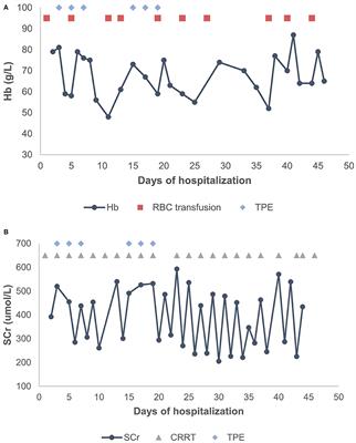 Case Report: Denys–Drash Syndrome With WT1 Causative Variant Presenting as Atypical Hemolytic Uremic Syndrome